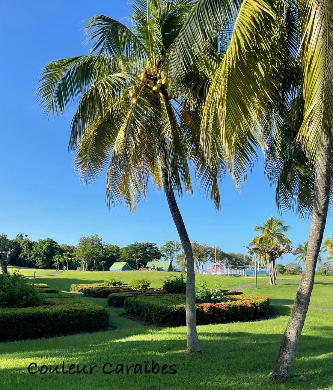 Couleur Caraibes-Cocobeach Martinique Pierre Et Vacances サント・リュス エクステリア 写真