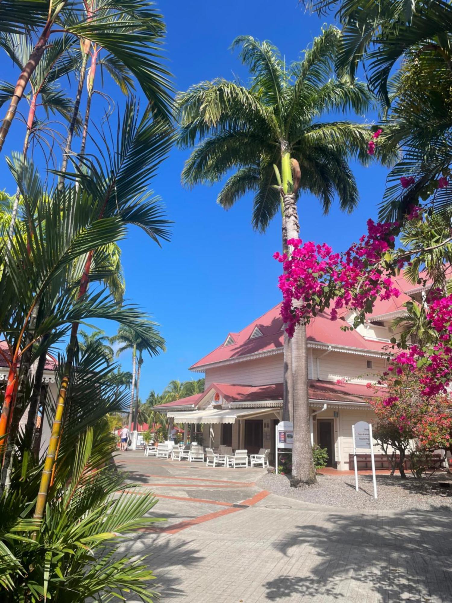Couleur Caraibes-Cocobeach Martinique Pierre Et Vacances サント・リュス エクステリア 写真