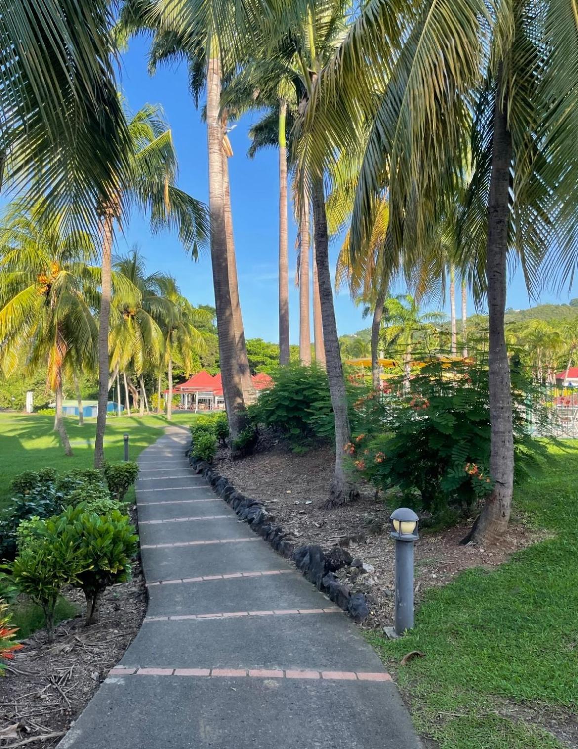 Couleur Caraibes-Cocobeach Martinique Pierre Et Vacances サント・リュス エクステリア 写真