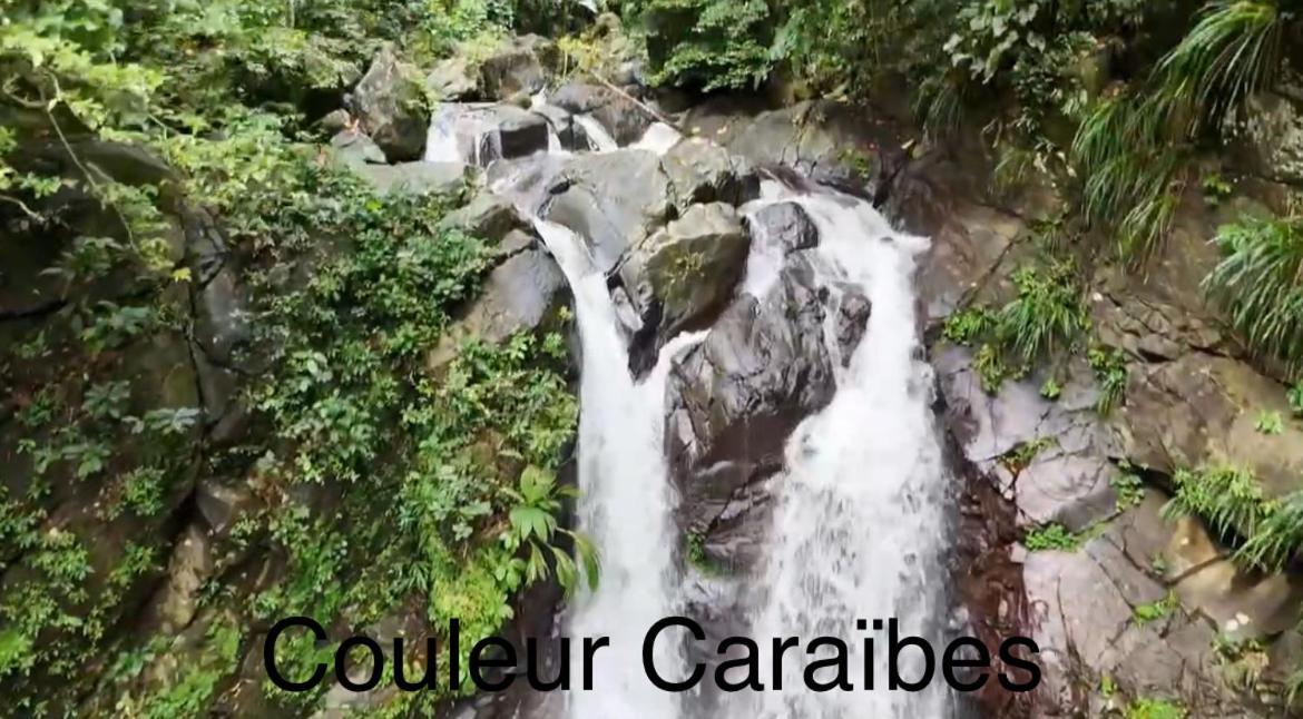 Couleur Caraibes-Cocobeach Martinique Pierre Et Vacances サント・リュス エクステリア 写真