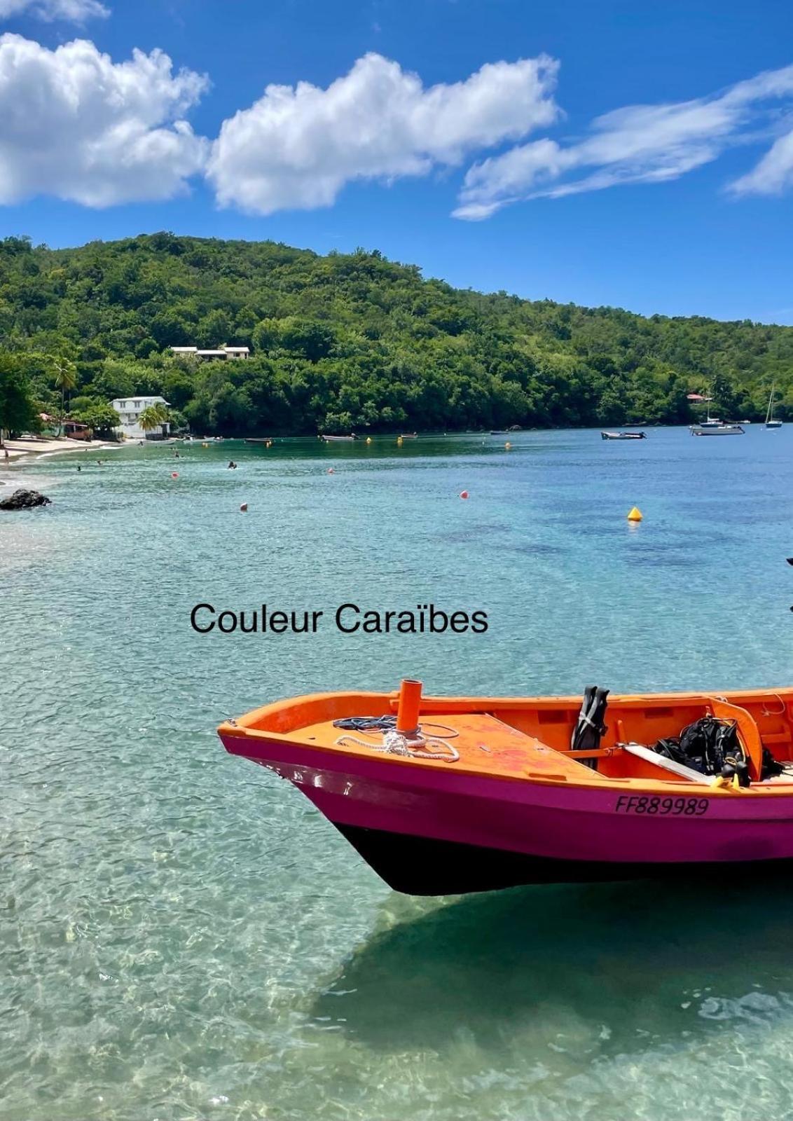 Couleur Caraibes-Cocobeach Martinique Pierre Et Vacances サント・リュス エクステリア 写真