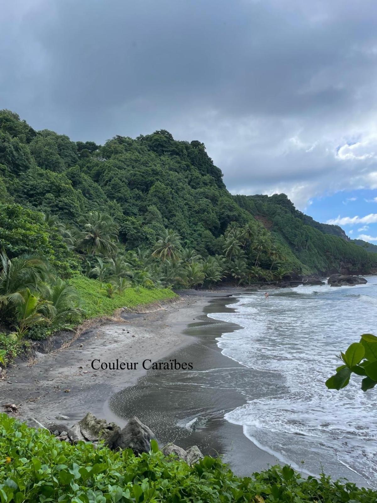 Couleur Caraibes-Cocobeach Martinique Pierre Et Vacances サント・リュス エクステリア 写真