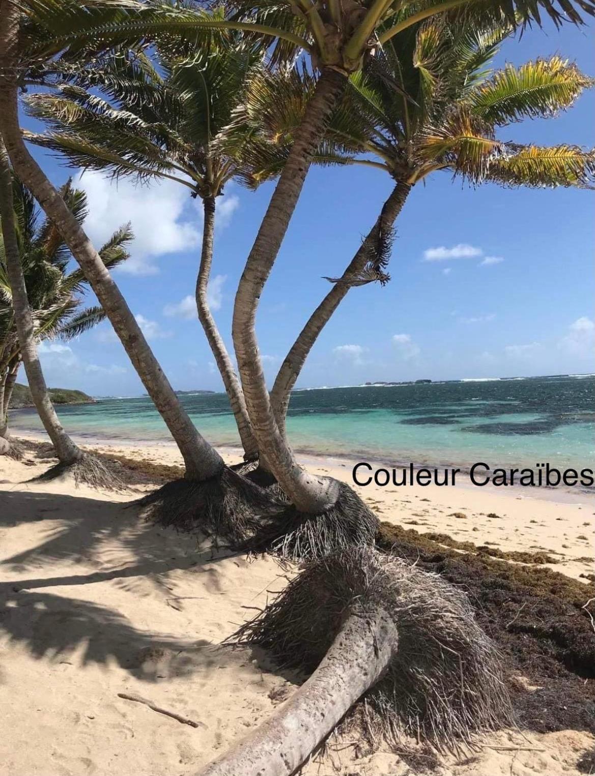 Couleur Caraibes-Cocobeach Martinique Pierre Et Vacances サント・リュス エクステリア 写真