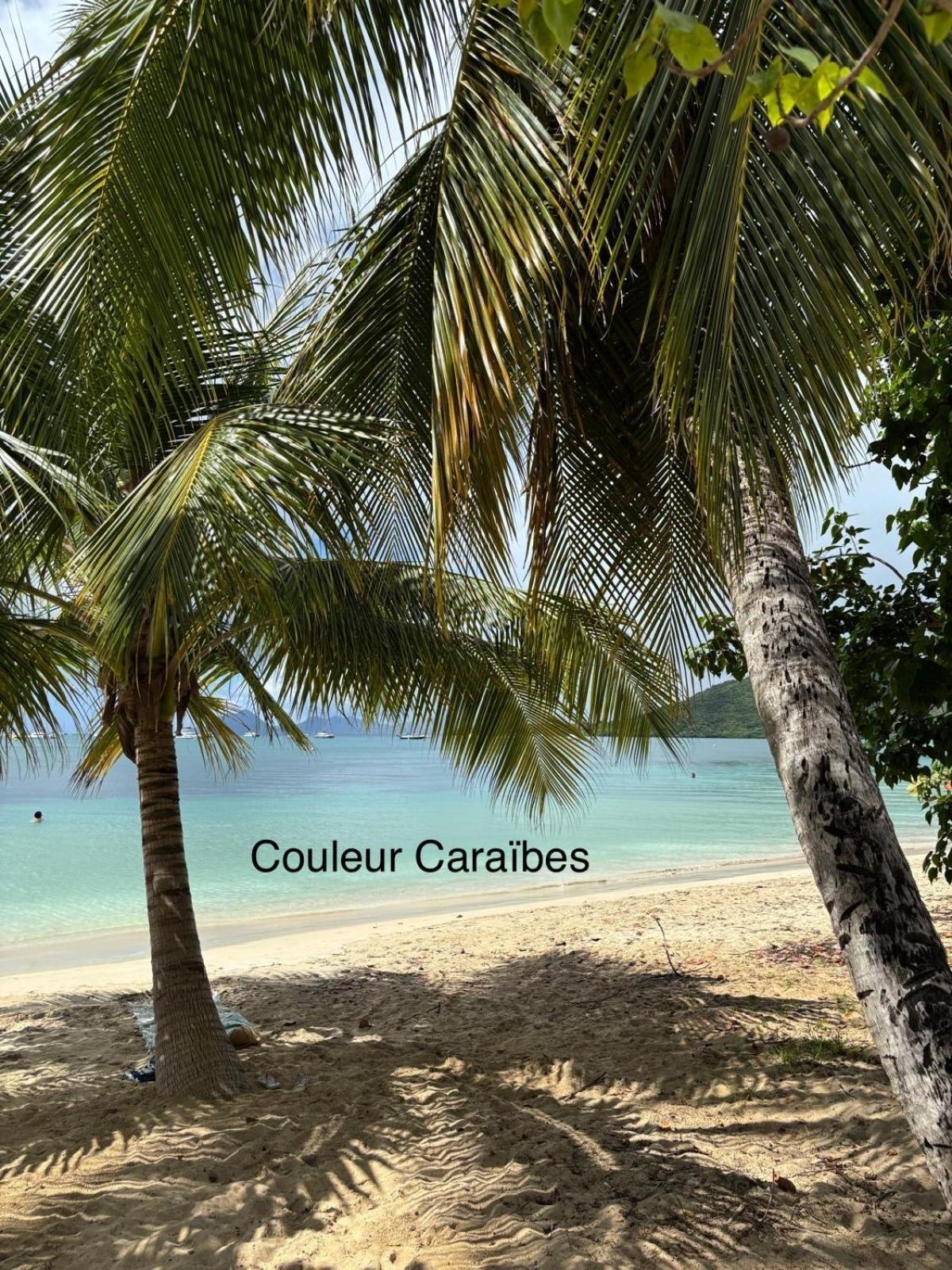 Couleur Caraibes-Cocobeach Martinique Pierre Et Vacances サント・リュス エクステリア 写真